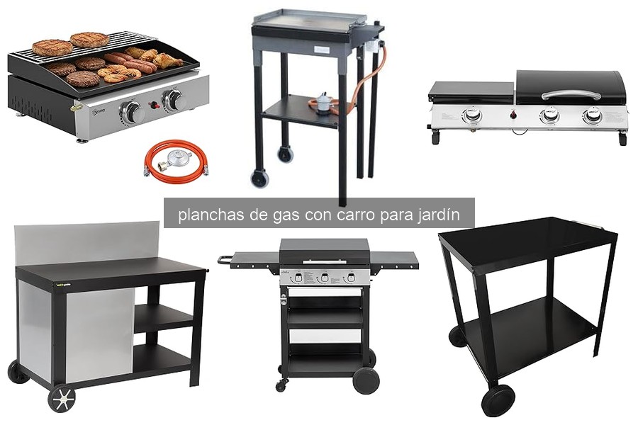 Características de las Planchas de Gas con Carro para Jardín