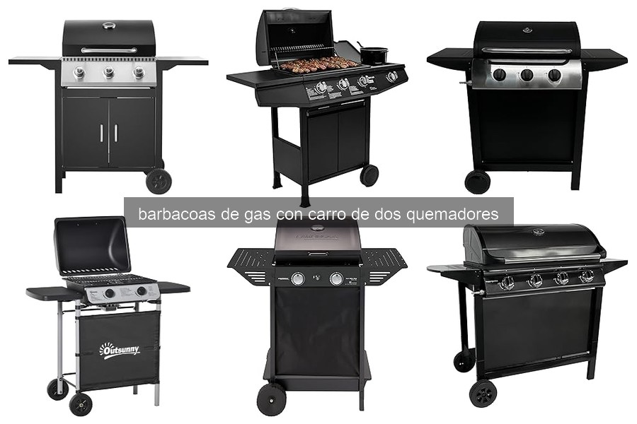 Comparativa de Barbacoas de Gas con Carro de Dos Quemadores