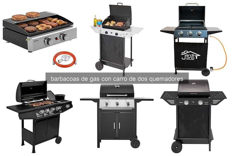 Guía de compra: Barbacoas de gas con carro de 2 quemadores