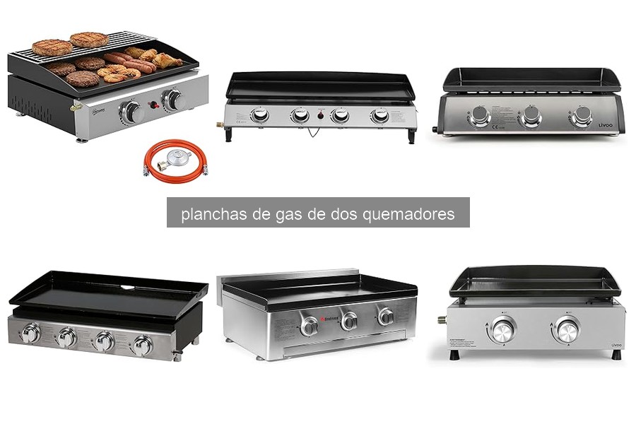 Guía sobre planchas de gas de dos quemadores para cocinar al aire libre