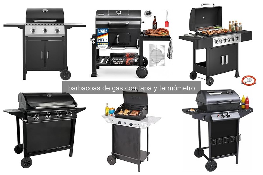 Mejores Barbacoas de Gas con Tapa y Termómetro para Principiantes