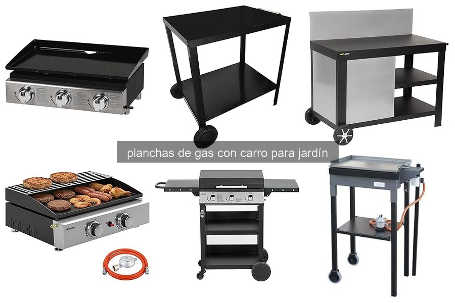 Mejores planchas de gas con carro para jardín en 2026