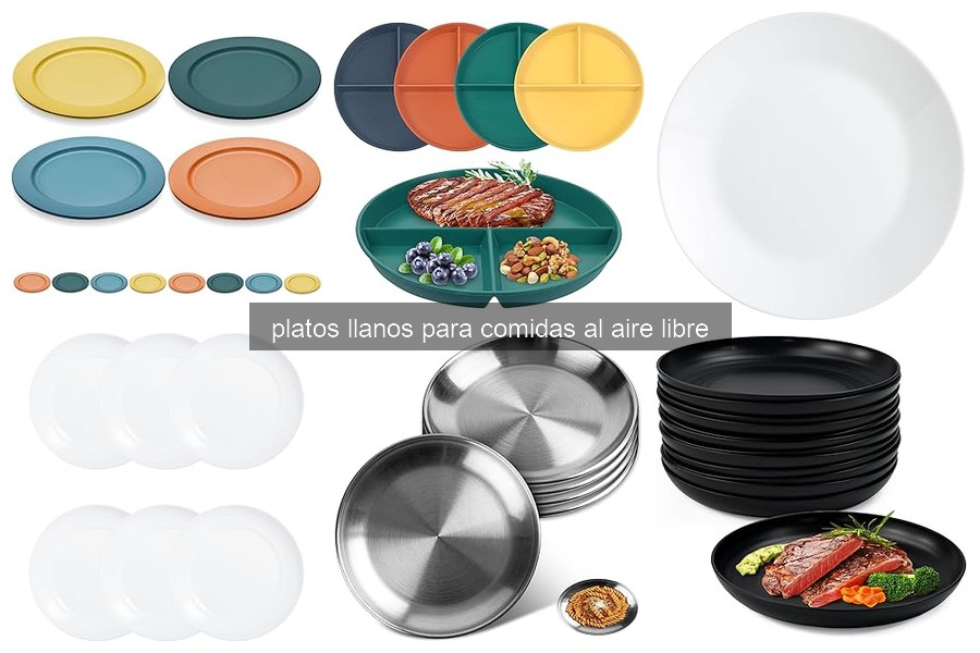 Mejores Platos Llanos para Comidas al Aire Libre en 2026