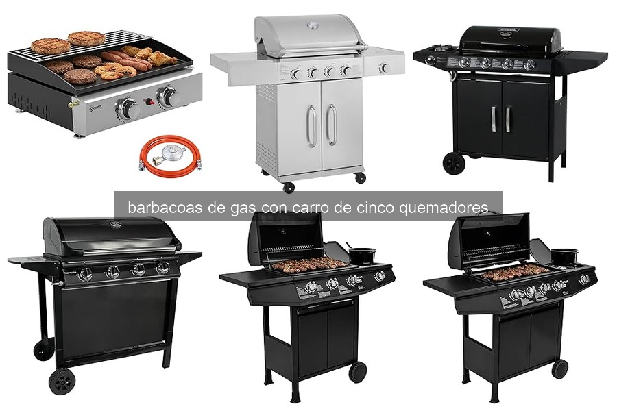 Mejores recetas para barbacoas de gas de cinco quemadores