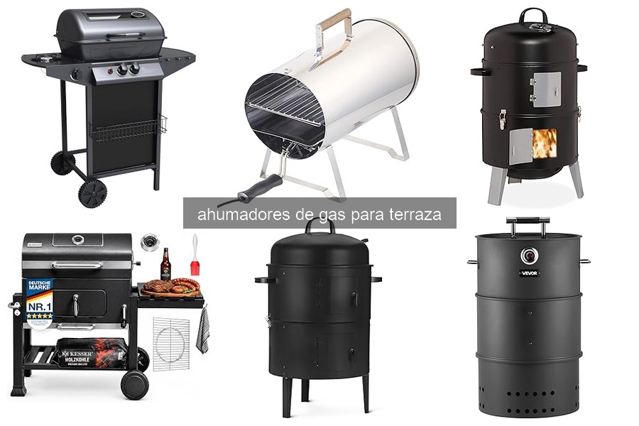 ** Problemas Comunes con Ahumadores de Gas y Soluciones Efectivas