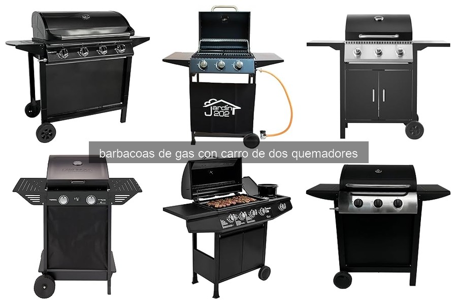 Problemas comunes en barbacoas de gas y soluciones efectivas