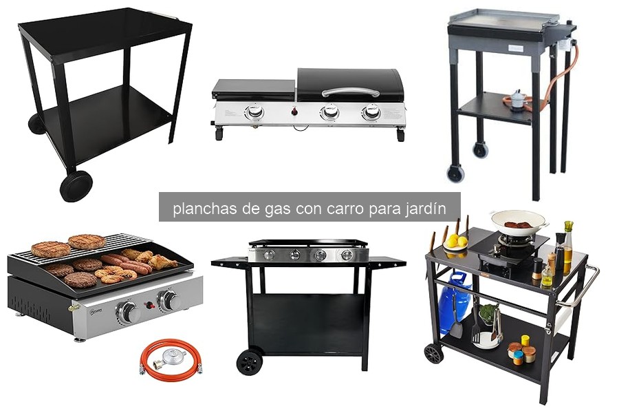 Solución a Problemas Comunes con Planchas de Gas con Carro