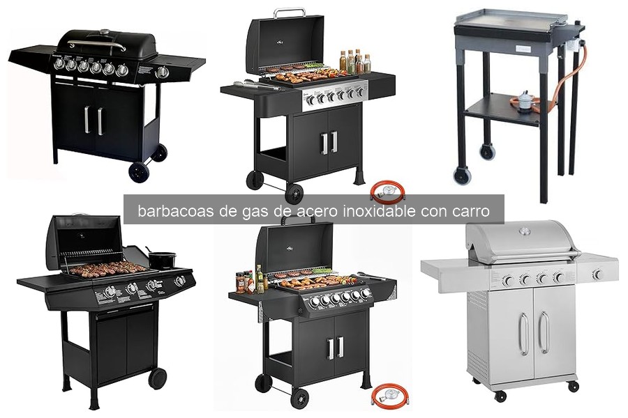 Ventajas de Barbacoas de Gas de Acero Inoxidable en Jardín